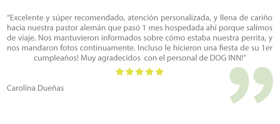 Comentario-Carolina